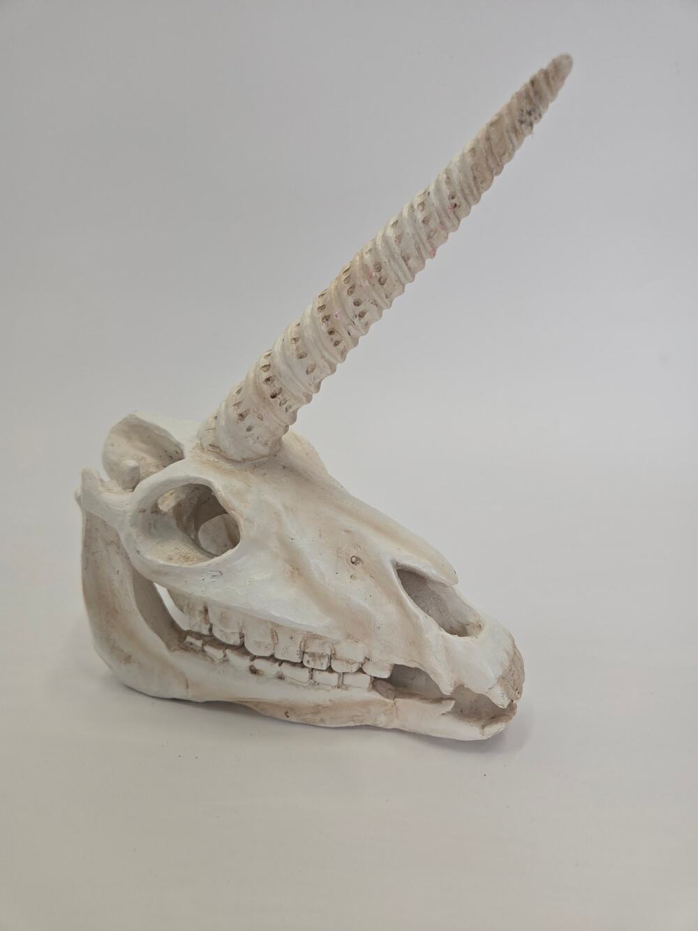 Halloween Unicorn Skeleton Skull Head Horn Gothic Fantasy Decoration